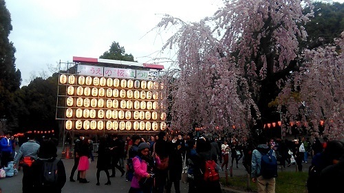 20170401_173619662.jpg