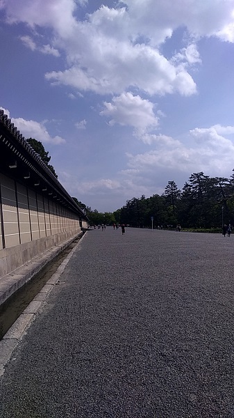 20190502_144010780.jpg