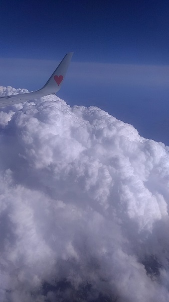 20190507_154920322.jpg