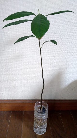 20210225.jpg