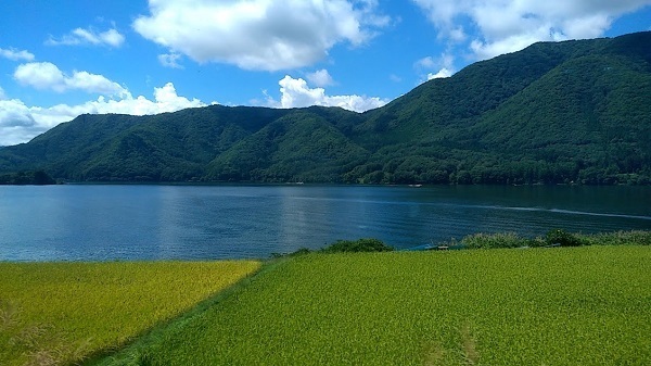 20220904_105348909.jpg