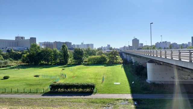 IMG20240916081901.jpg