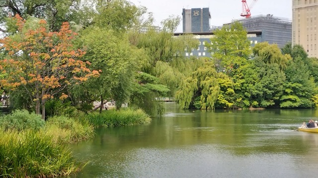 IMG20240916142927.jpg