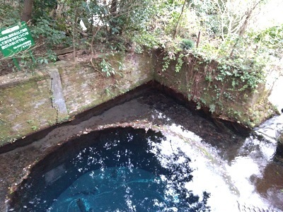 P_20190106_140916.jpg