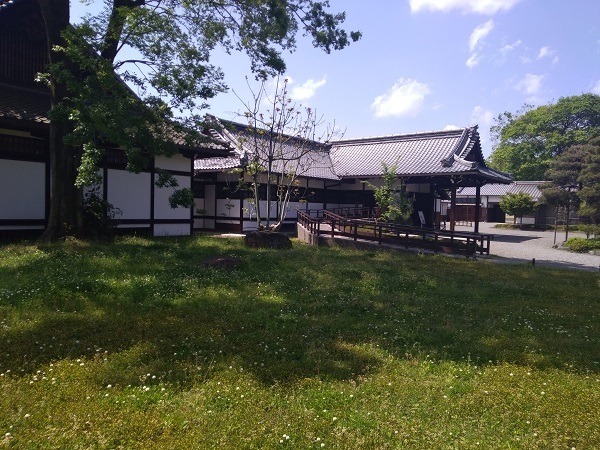 P_20190502_133730.jpg