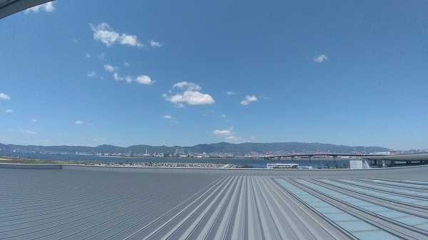 P_20190507_123839.jpg
