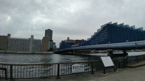 P_20190705_170736.jpg