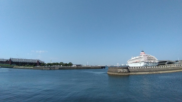 P_20190803_142010.jpg
