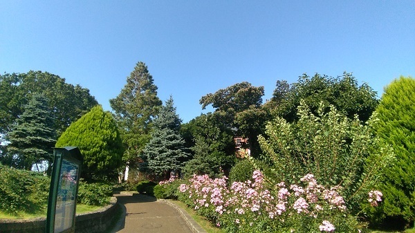 P_20190803_153532.jpg