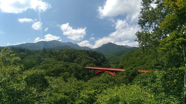 P_20190817_131906.jpg