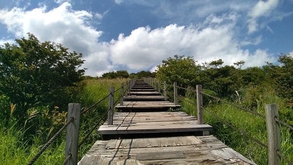 P_20190817_134831.jpg